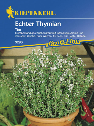 Echter Thymian Tim