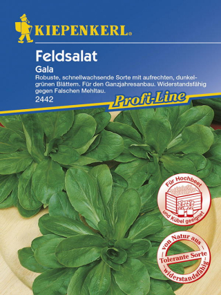 Feldsalat Gala