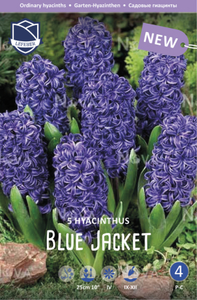 Hyazinthe Blue Jacket