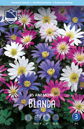 Anemone Blanda Mischung
