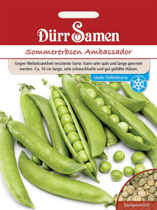 Sommererbsen Ambassador