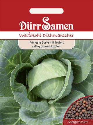 Weißkohl Dithmarscher