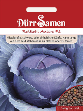 Rotkohl Autoro F1