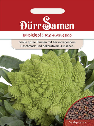 Brokkoli Romanesco