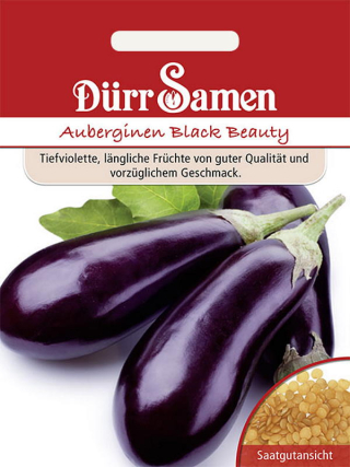 Auberginen Black Beauty