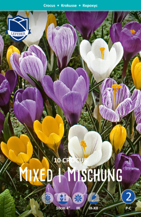 Krokus Mischung