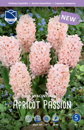 Apricot Passion