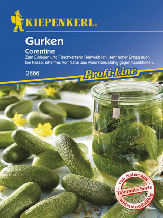 Gurken (Einlegegurken) Corentine F1