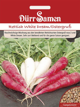 Rettich White Dream Ostergruß rosa 2