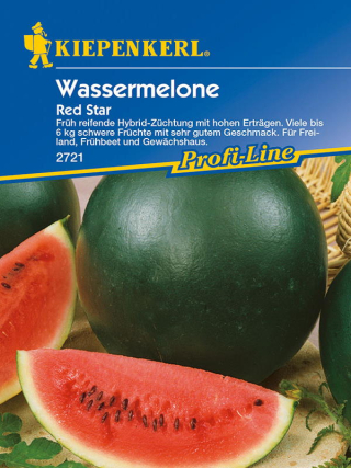 Wassermelone Red Star F1