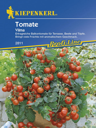 Tomaten (Balkontomaten) Vilma