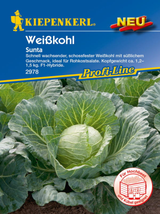 Weißkohl Sunta F1