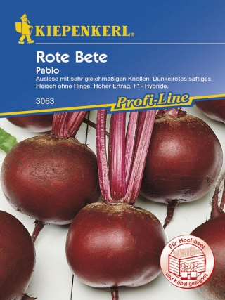 Rote Beete Pablo