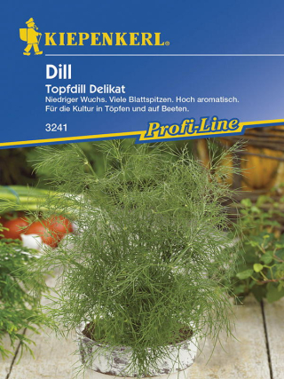 Dill (Topfdill)