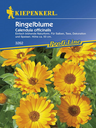 Ringelblumen für Tee und Salben