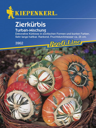 Zierkürbis Turbanmischung