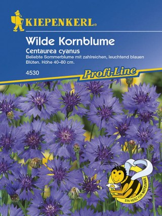 Wilde Kornblume Centaurea cyanus