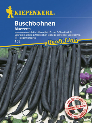 Buschbohnen Bluevetta