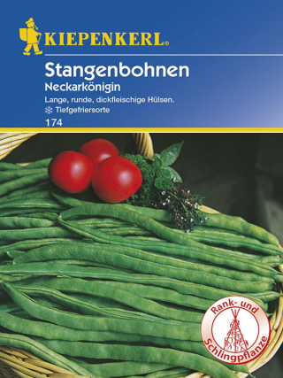 Stangenbohnen Neckarkönigin