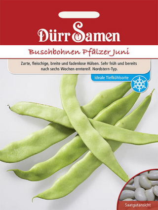 Buschbohnen Pfälzer Juni