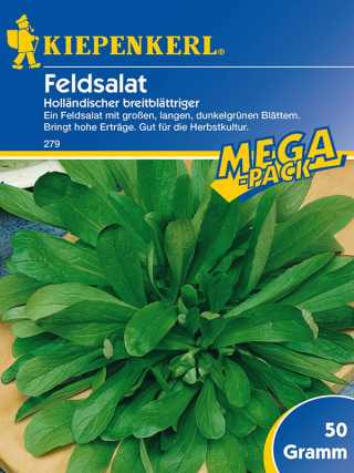 Feldsalat Holländischer breitblättriger