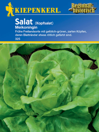 Kopfsalat Meikoningin