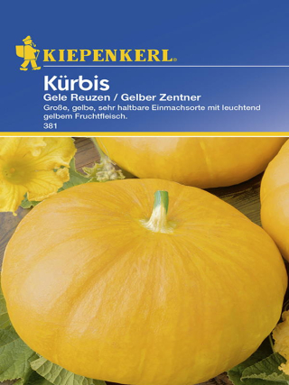 Kürbis Gele Reuzen (Gelber Zentner)