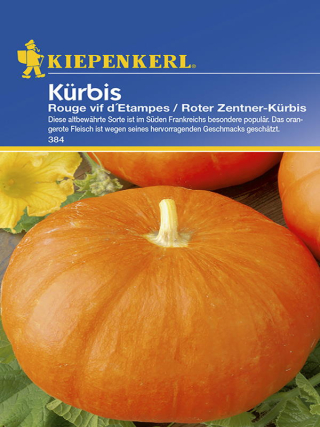 Kürbis Rouge vif dEtampes