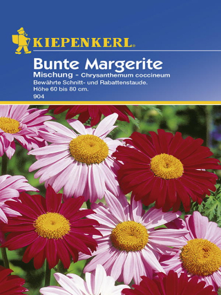 Rote Margeriten Bunte Mischung