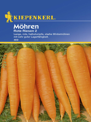 Möhren Rote Riesen 2