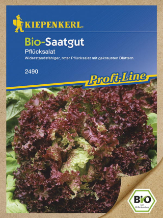 BIO Pflücksalat rot