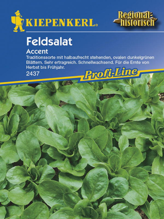 Feldsalat Accent