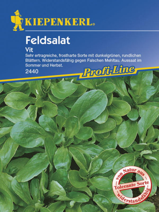 Feldsalat Vit