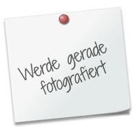 Tulpe Peony Tulpia Mixed