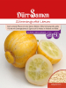 Zitronengurke Lemon