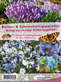 Bienen- & Schmetterlingsparadies: Frühlingsboten