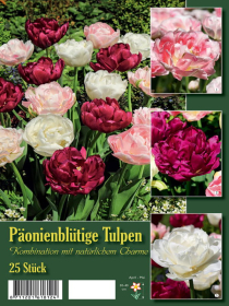 Päonienblütige Tulpenmischung