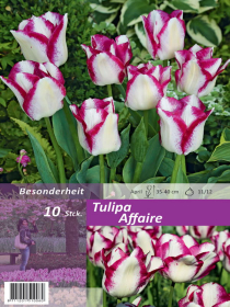 Tulpe Affaire