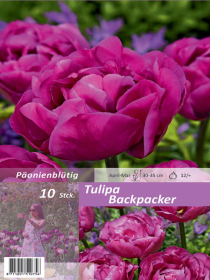 Tulpe Backpacker