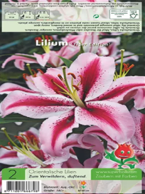 Lilien Tiger Edition