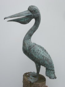 Pelikan (1)