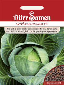 Weißkohl Rivera F1