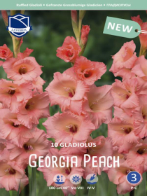 Gladiole Georgia Peach