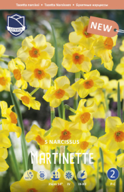 Narzisse Martinette