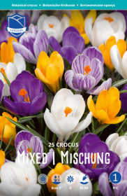 Krokus Botanical Mixed