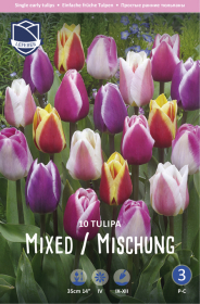 Tulpe Single Early Mixed