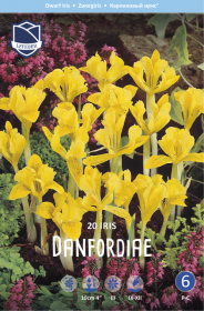 Iris Danfordiae
