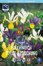 Iris hollandica Mix