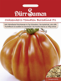 Ochsenherz-Tomaten Borsalina F1