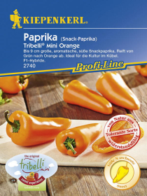 Paprika Tribelli® Mini orange
